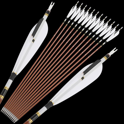 ZSHJGJR 31" Carbon Arrows Spine 340 400 500 600 Archery Hunting Arrows with Natural Feather Removable Tips Targeting Arrows for Compound & Recurve & Traditional Bow 6/12pcs (12, Spine 500)