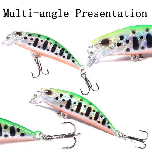 LURESMEOW Jerkbait Fishing Lures Jerk Baits for Bass Fishing Jerk Bait Minnow Lures with Tackle Box for Freshwater Saltwater,10pcs