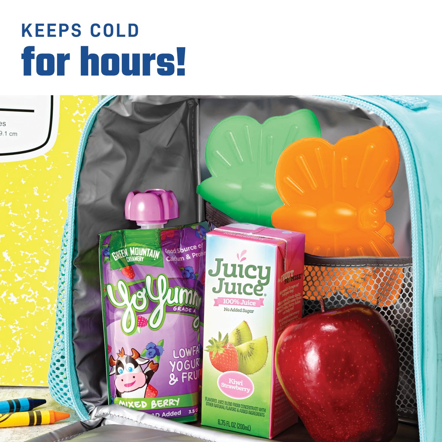 Fit & Fresh Cool Coolers Kids Lunch Box Ice Packs, Slim Ice Packs for Lunch Bags, Multicolored Penguin and Butterfly Set, 8PK