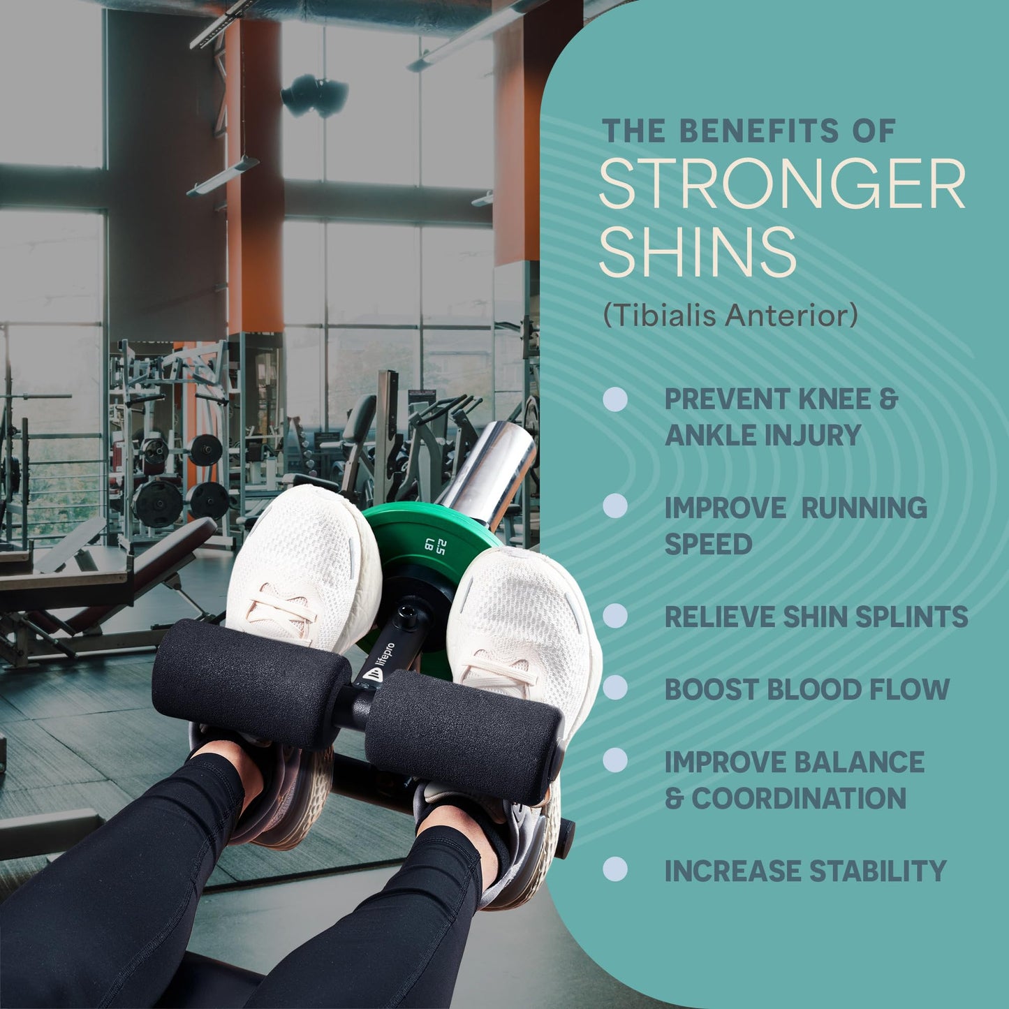 Lifepro Tib Bar for Anterior Tib Raise – Tibialis Bar for Dorsiflexion, Knees Over Toes, Calf Raise Block, Ankle Rehab, Tip Bar Training, and Lower Leg Strength Equipment