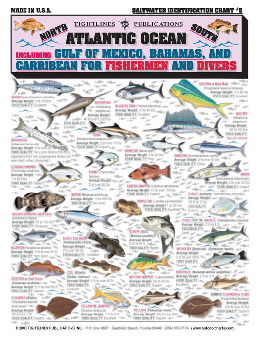 Atlantic Ocean Saltwater Identification Chart #5 (Gulf of Mexico, Bahamas, and Caribbean) - Waterproof Quick Reference Guide | Portable & Built to Last | Double-Sided & Easy to Read
