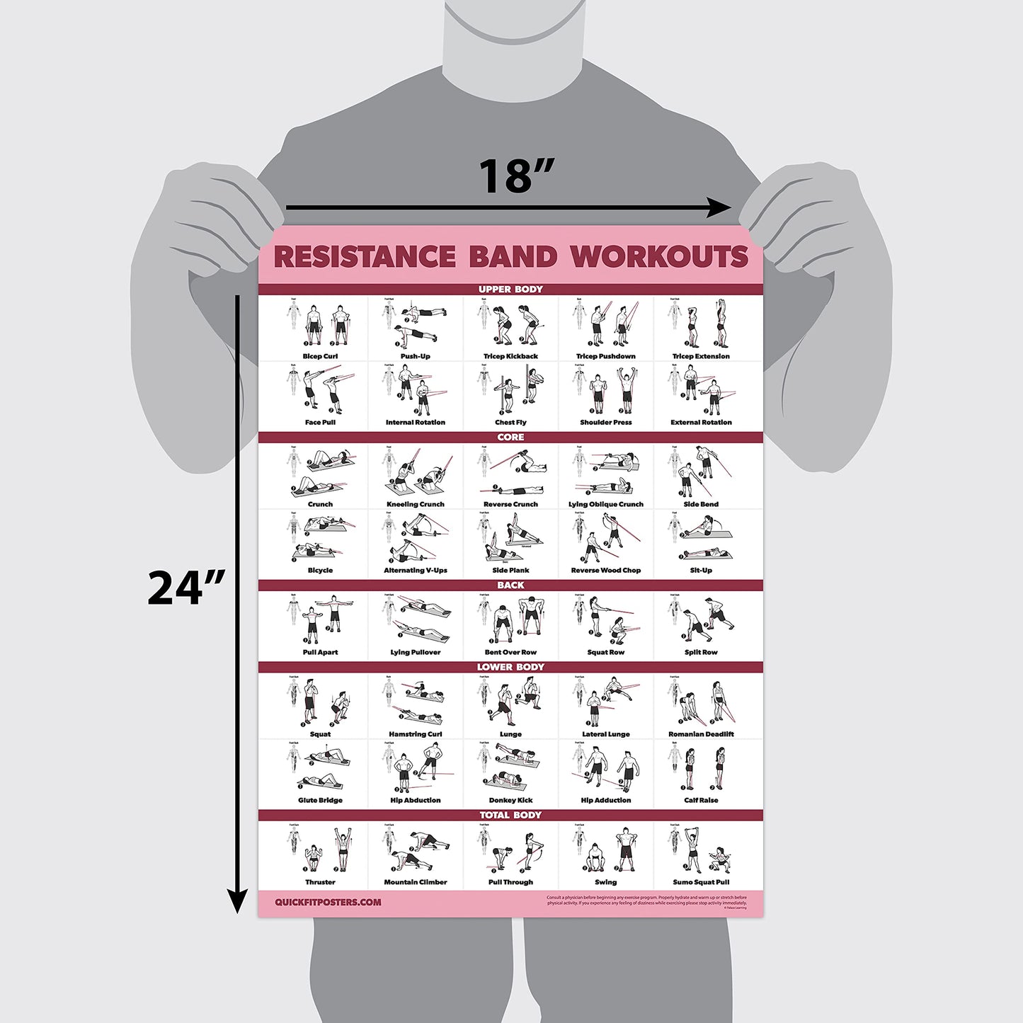 Palace Learning 2 Pack - Resistance Bands and Resistance Loops Workout Posters - Set of 2 Laminated Charts - Resistance Band Tubes and Loops Exercise Charts [Light] (18 x 24, LAMINATED)