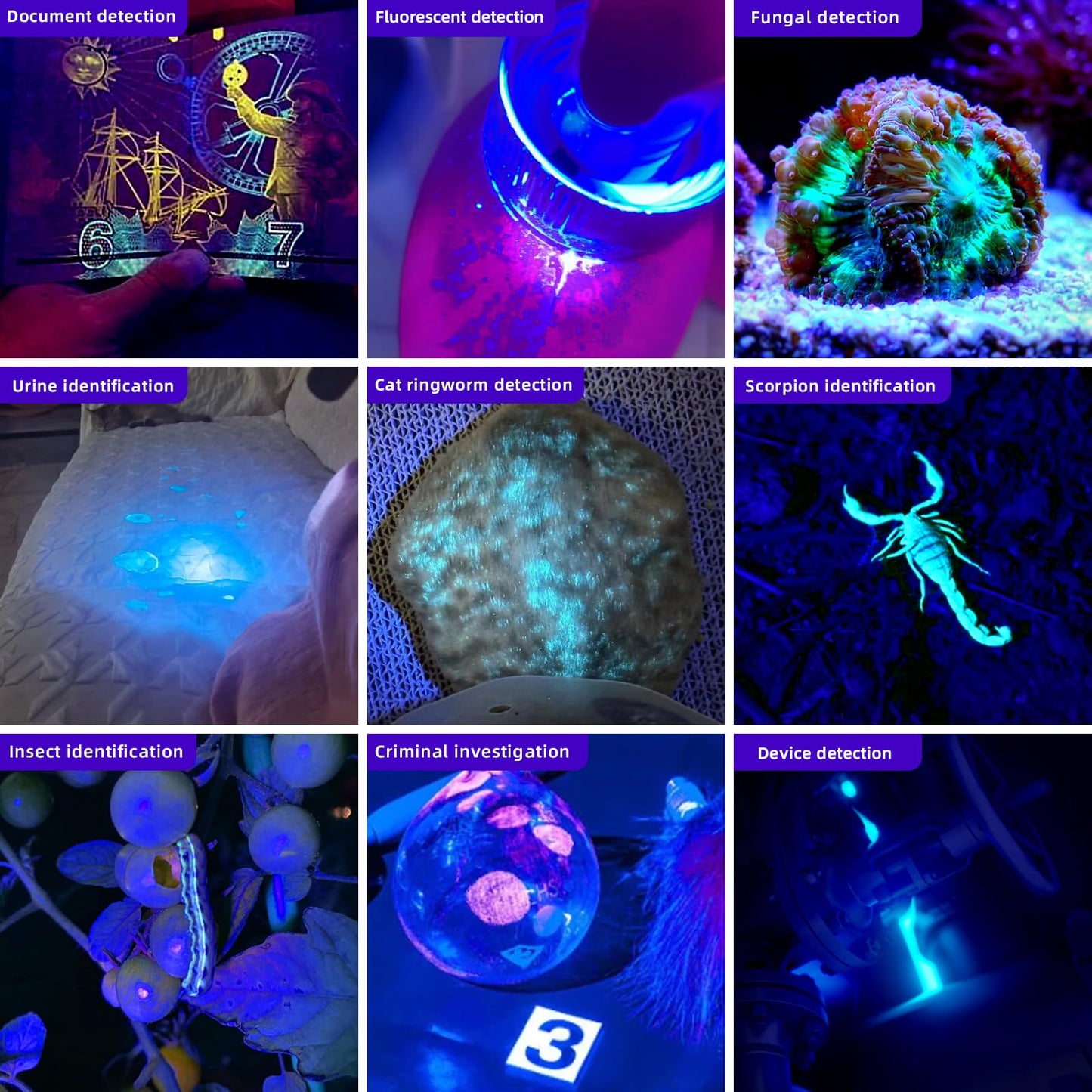 LIGHTFE UV305 High-Power UV Flashlight USB Rechargeable, Used for Hunting Ore, Scorpion and UV Glue Curing, Checking Pet Urine Stains, Identifying Currency, Official Anti-Counterfeiting Documents…