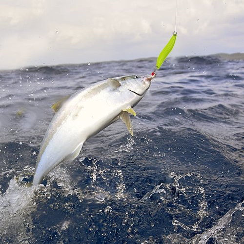 FREGITO Fishing Lures,Fishing Spoons, Colorful Casting Fishing Spinner Hard Baits Tackle Single Hook for Trout Bass Salmon Freshwater Saltwater with Metal Hooks (10pcs Glow Color)