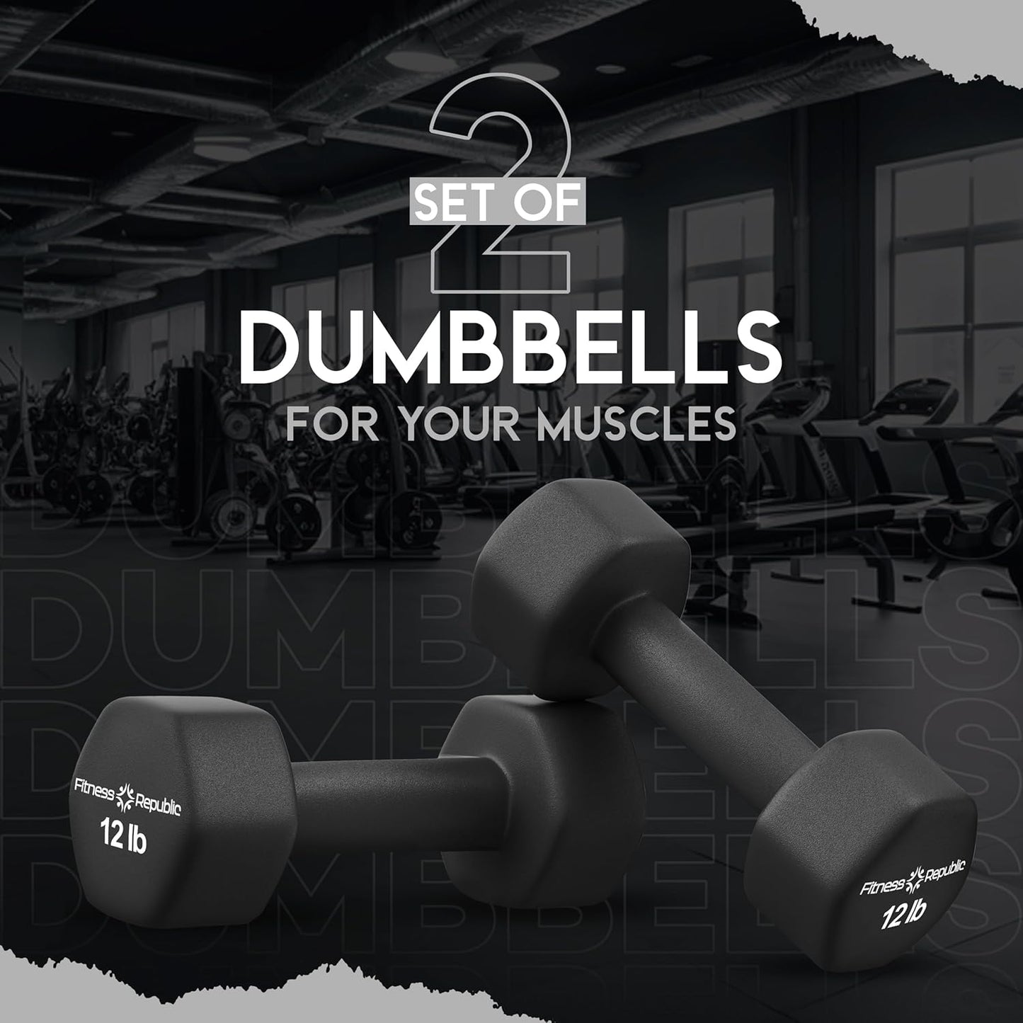 Neoprene Dumbbell Set of 2, Non-Slip, Hex Shape, Free Weights for Muscle Toning and Strength Building - Portable Home Gym Hand Weights