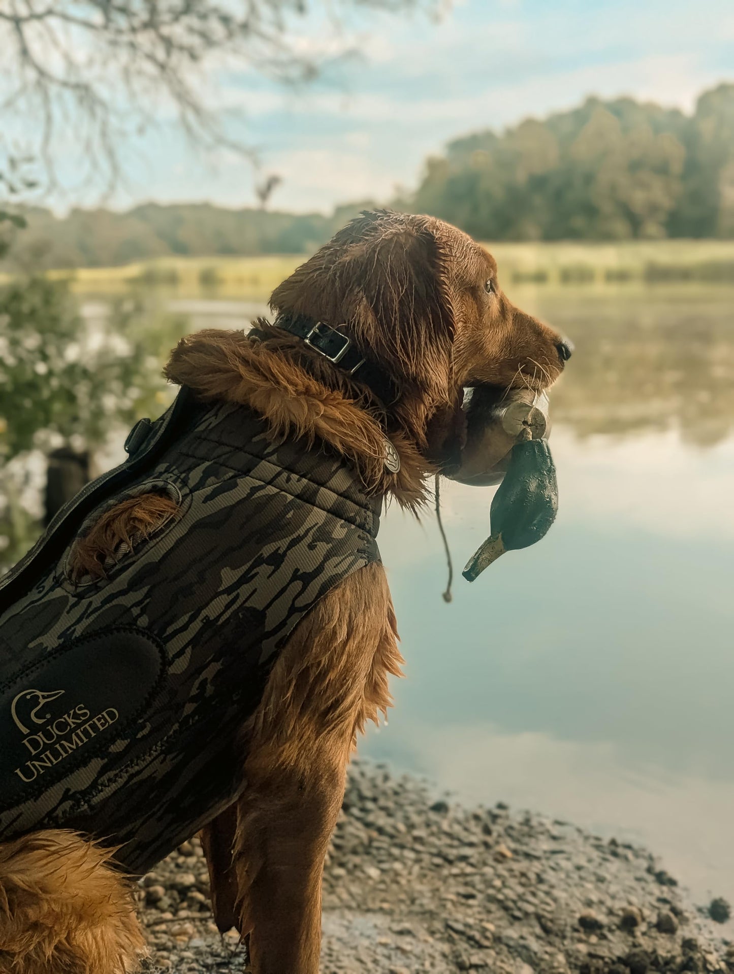 ALPS OutdoorZ Ducks Unlimited Topflight Dog Vest, XL - Mossy Oak Original Bottomland