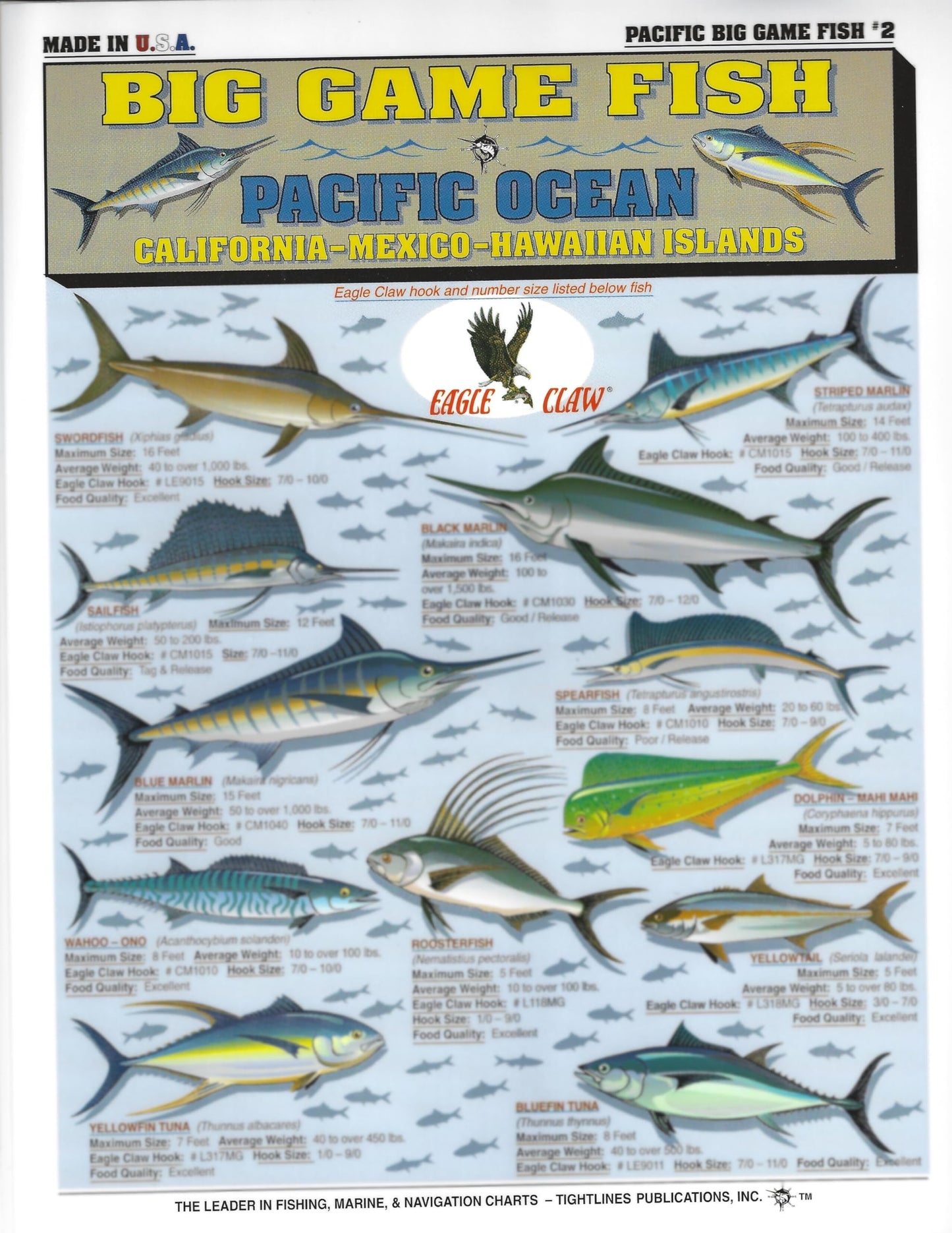 Fishermen's Saltwater Fish Identification Set - Waterproof Quick Reference Guide | Portable & Built to Last | Double-Sided & Easy to Read