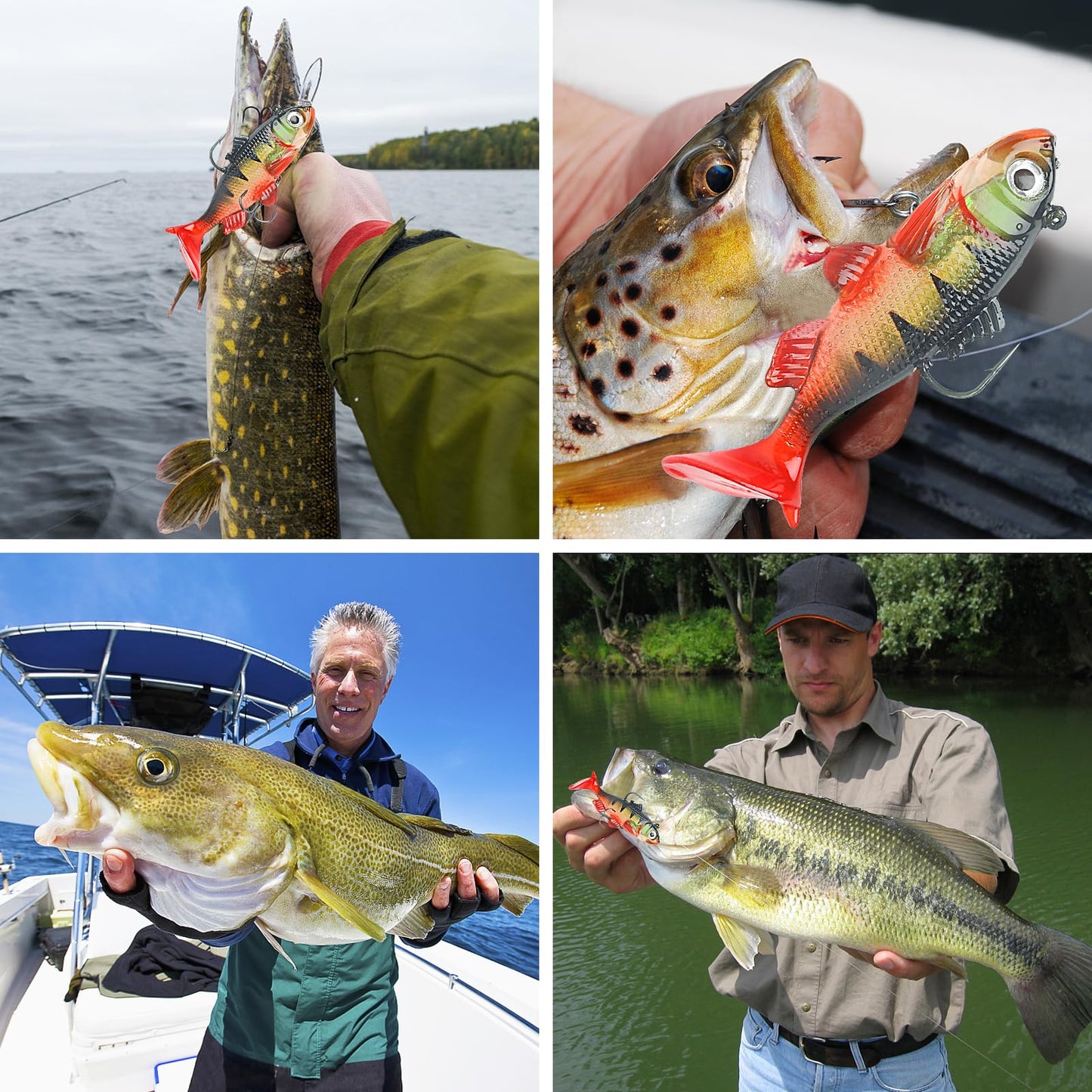 Realure 8 Pcs Fishing Soft Plastic Lures, Pre-Rigged Jig Head Soft Fishing Lures, Paddle Tail Swim Baits for Bass Fishing, Premium Fishing Bait for Freshwater Saltwater, Trout Pike Fish Lures