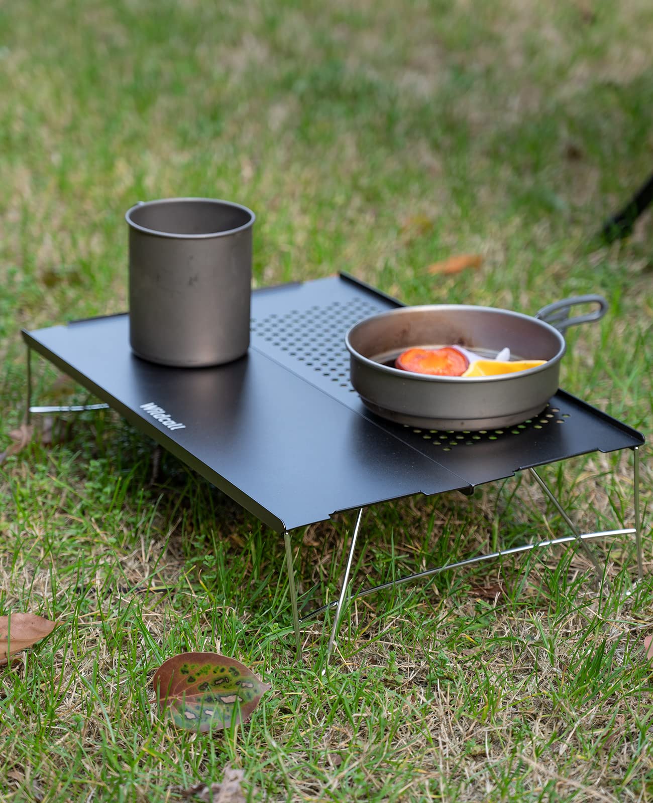 WildCall Mini Solo Folding Table Ultralight Compact with Carry Bag for Backpacking Camping Hiking Beach (Gunmetal)