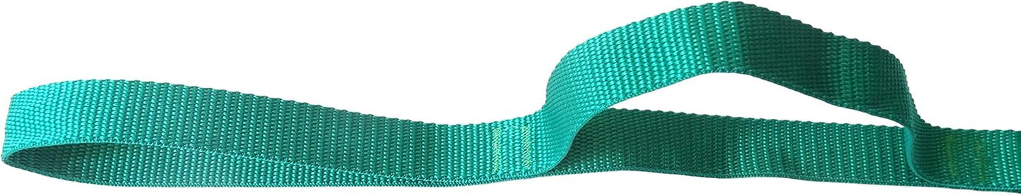 Physical Therapy Stretch Strap by Morning Sky - 10-Loop 73-inch Rehab Strap with Instructional Guide for Rehab, Stretching, Yoga.