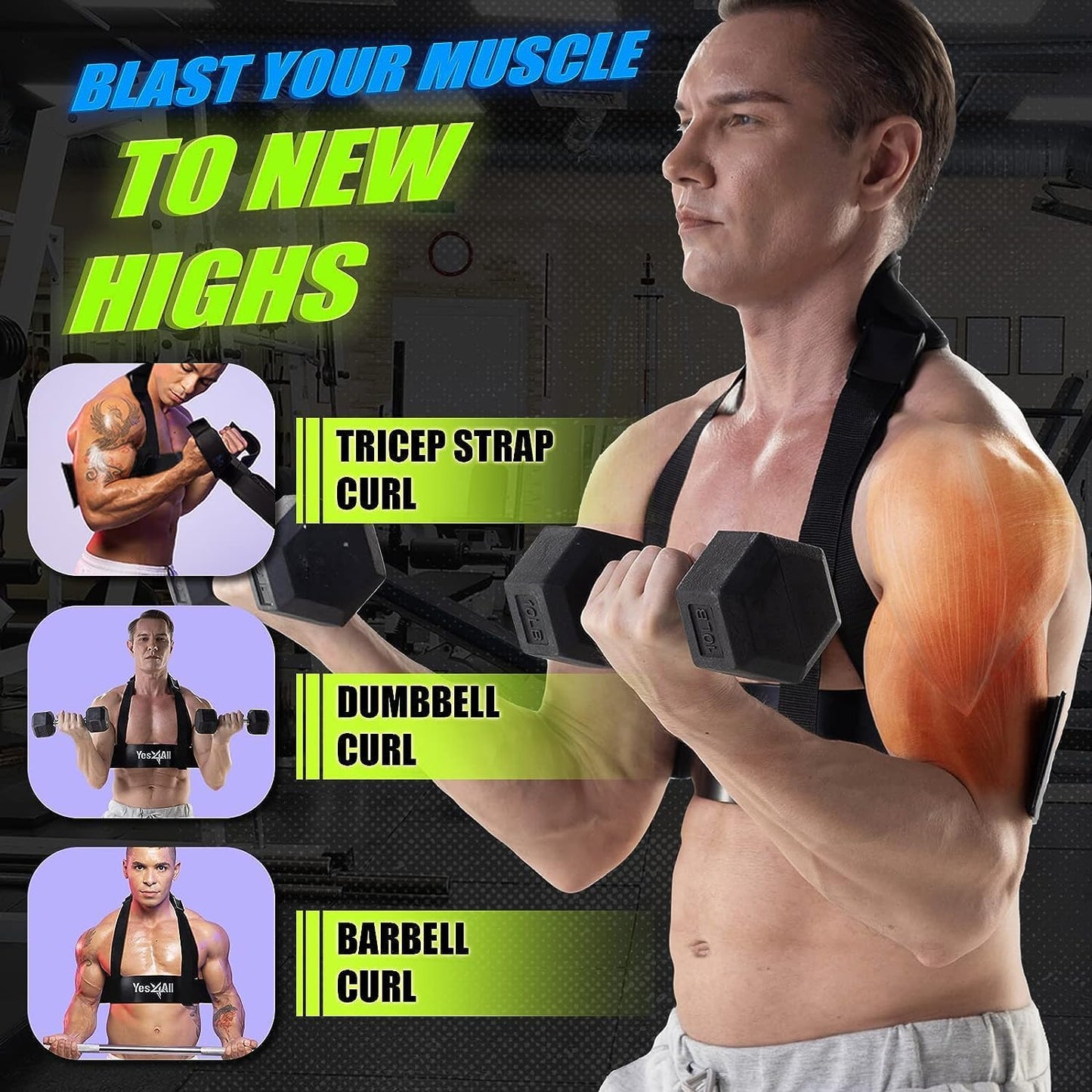 Yes4All Wrist and Forearm Blaster - Wrist Roller & Forearm Roller for Training, Workout - Wrist/Arm Blaster - Fit 1-inch Standard & 2-inch Olympic Weight Plates