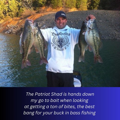 USA Bass Tackle Patriot Shad - Scent Infused Paddle Tail Swimbaits Pre Rigged Fishing Lures Premium Bait with Strong Owner Hook, Fishing Gear for Freshwater Bass Crappie Trout - Bone Glow