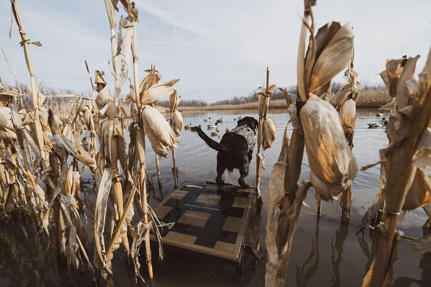 ALPS OutdoorZ Hybrid Dog Stand - Brown