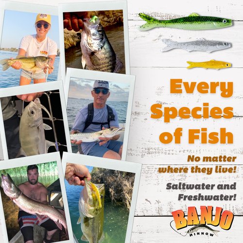 Banjo Minnow Silver Minnows + Lifelike Lure for All Fish + Durable Material That Catches Fish + Freshwater & Saltwater Fishing Lure + Hooks & Anchors