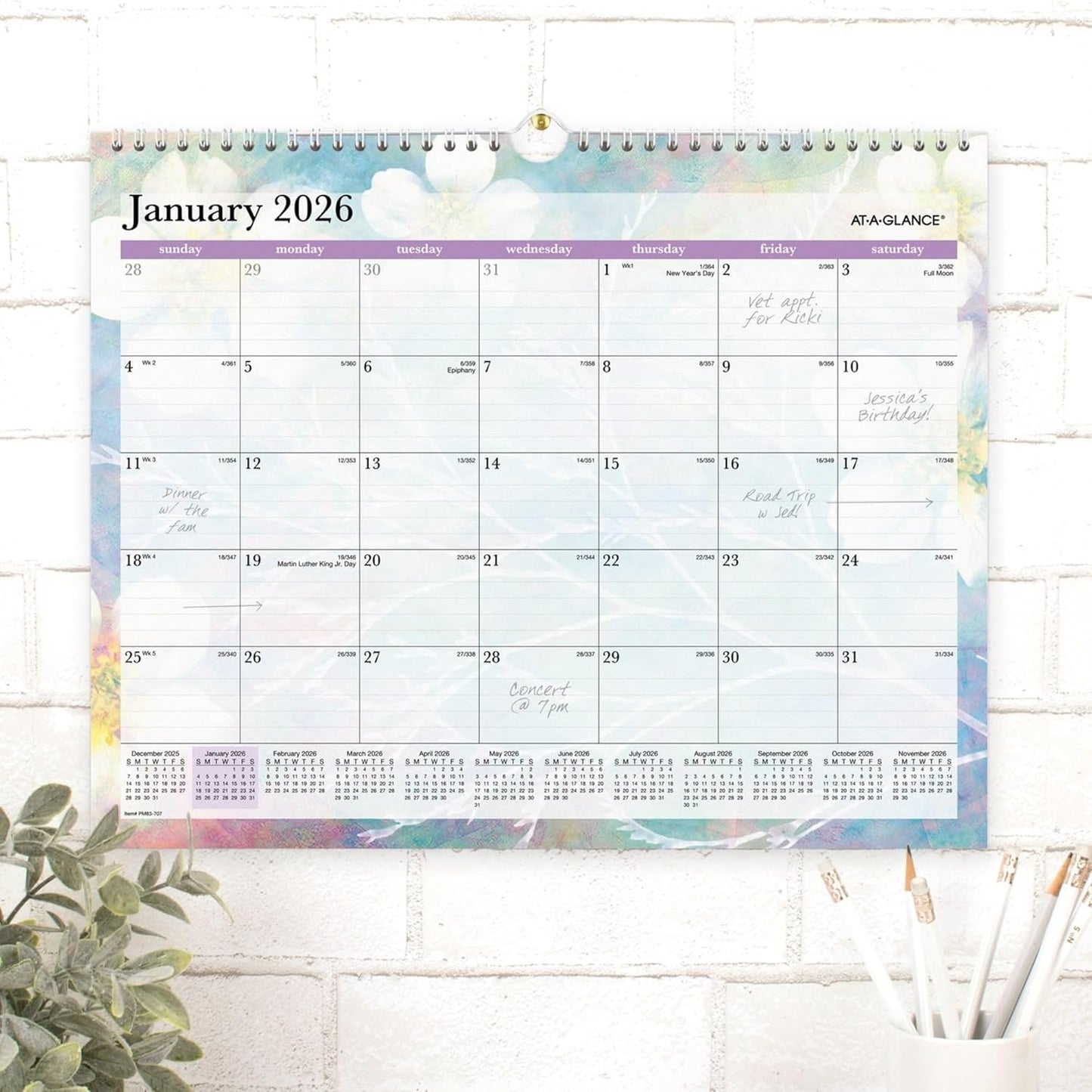 AT-A-GLANCE® Dreams 2026 Monthly Wall Calendar, Medium, 15" x 12"