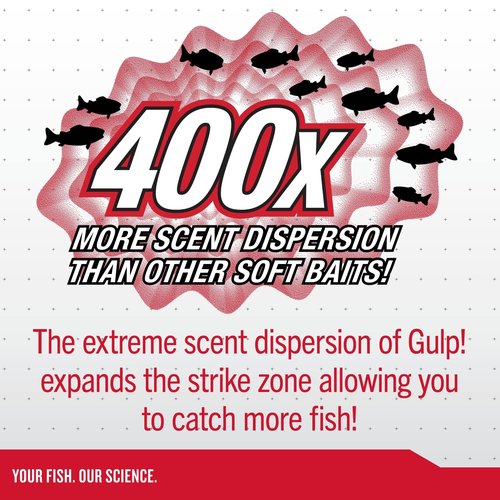 Berkley Gulp! Minnow Fishing Bait, Starry Night, 3in, Extreme Scent Dispersion, Realistic Minnow Profile, Ideal for Bass, Trout, Walleye, Panfish and More