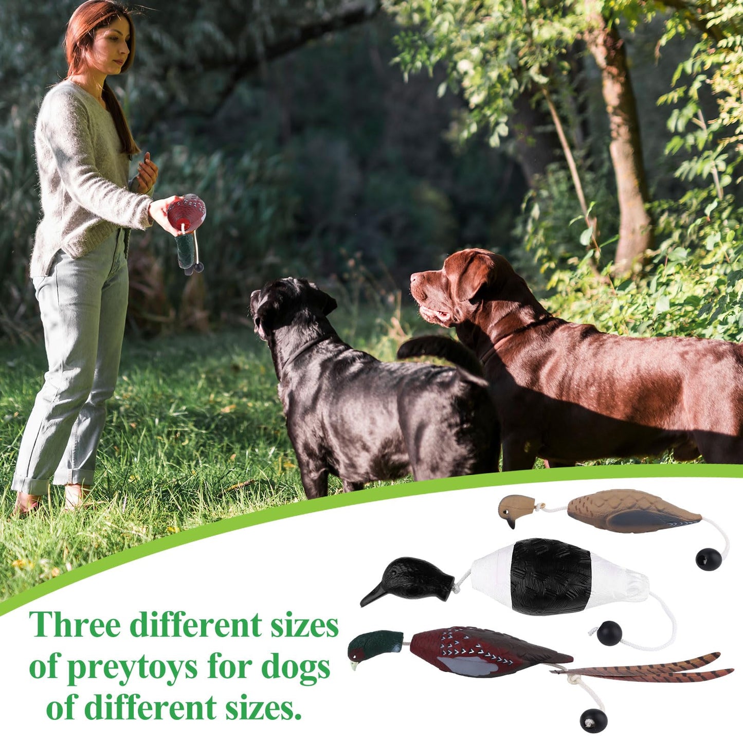FIONUPI 3 Pcs Pheasant Toy for Dog Training Hunting Dogs Training Duck Bumper Tools Floating Dead Fowl Trainer Foam Interactive Toys for Pet Dog Training