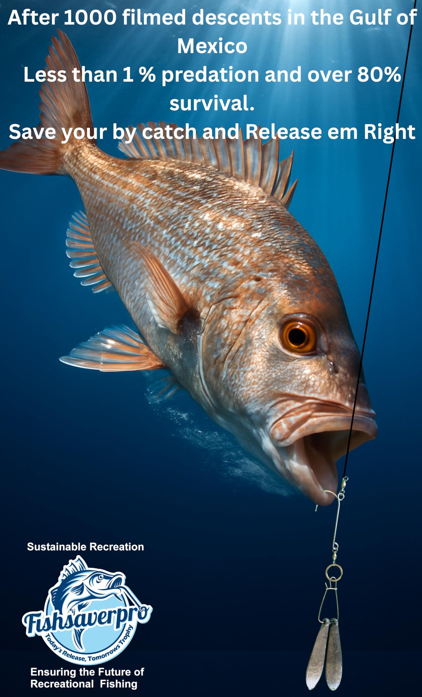 Fishsaverpro Fish Descending Return Device - 2 Pack- Compact & Reliable Release Device Built for Long Life. No Mechanical Release to Fail. Great for red Snapper. Unlike Venting Tools NOAA Preferred.