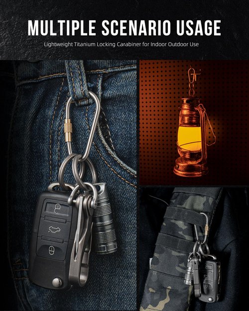 Locking Carabiner Keychain, FEGVE Small Titanium Carabiner Clip with 2pcs/1 inch/25mm Titanium Key Ring, Lightweight and Durable-1pcs