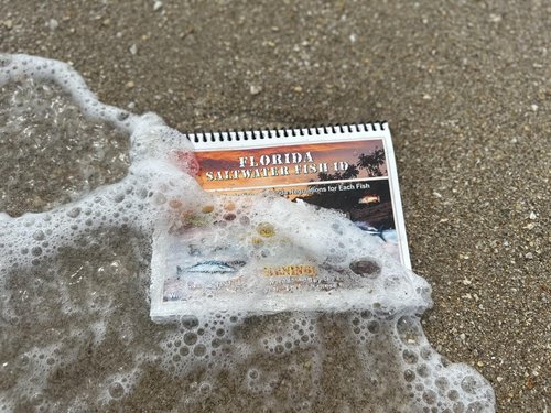 Florida Saltwater Fish Identification Book with FWC Rules, Regulations, Limits, and Sizes with 90+ Marine and Shark Photographs, Waterproof Fishing Guide, Angler and Fishermen Booklet