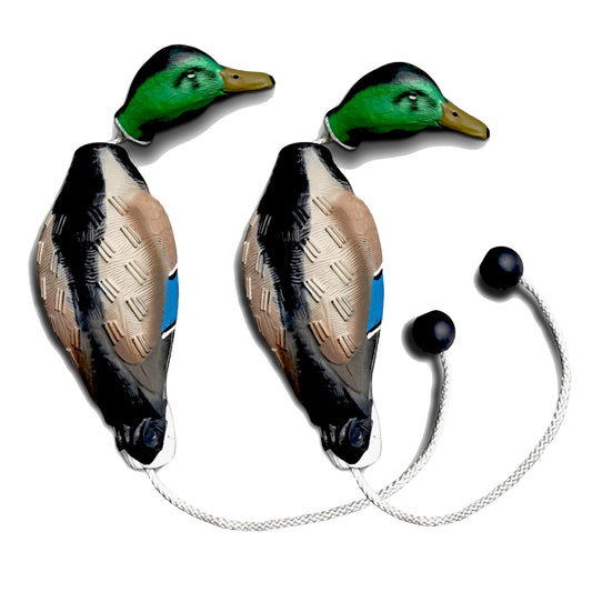 AUSCAMOTEK Duck Dummy Bumper – 2 Pieces Waterfowl Hunting Dog Training Tool for Retrievers, Realistic Mallard Design, Scent-Injectable