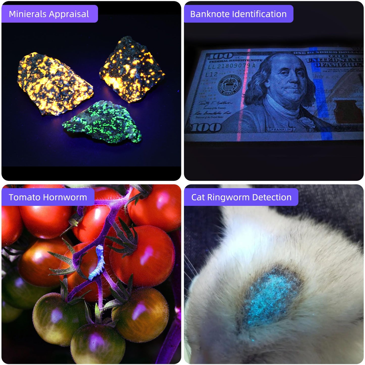 DARKBEAM UV Flashlight 365nm Black Light, Mini & Powerful Woods Lamp USB -C LED Rechargeable, Blacklight Flashlights Portable Pet Cat Urine Detector - Rock, Fluorescent Detection, Resin Curing