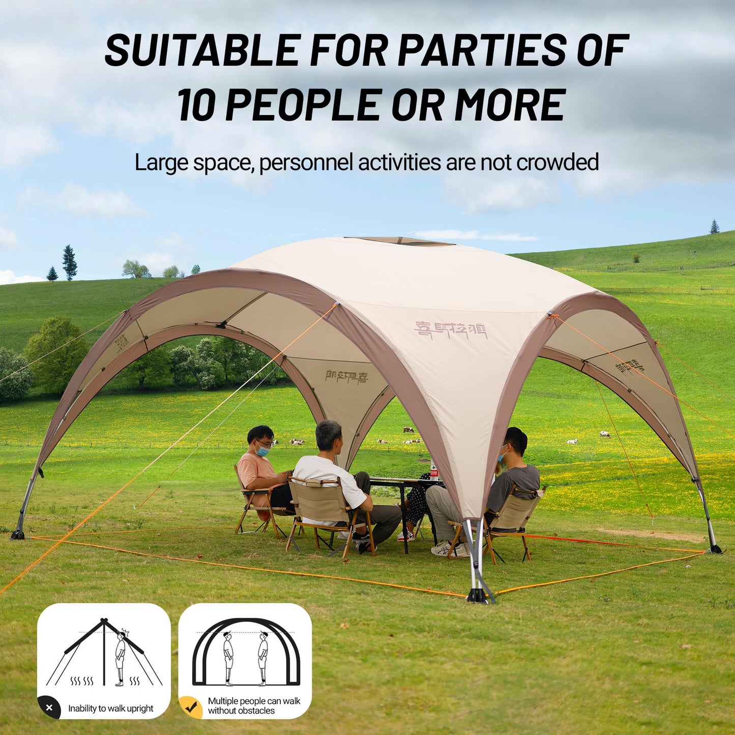 Family Tents with Spacious Interior 8-10 Person Camping Tent Waterproof Windproof Camping Tent Portable for Outdoor Camping Beach (Tent, Coffee)