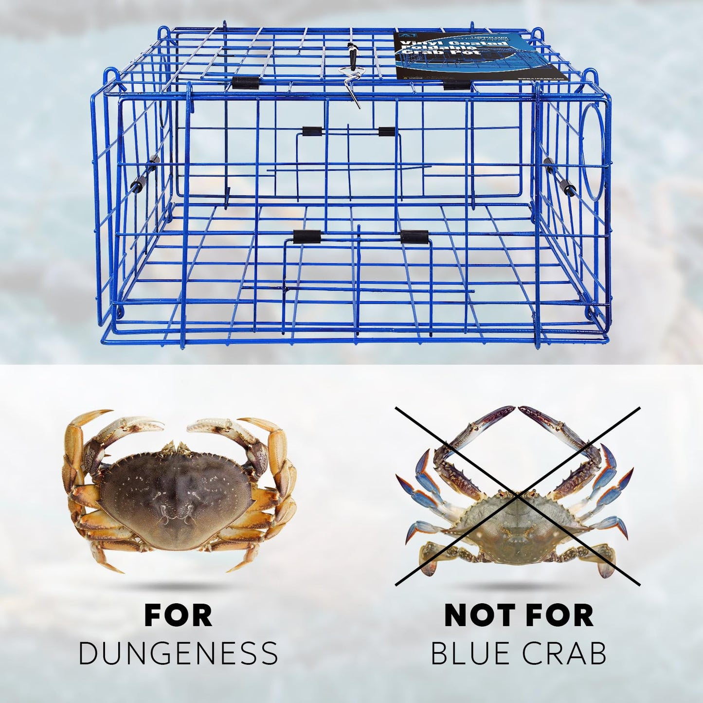 A1FISHER 2 Packs Pacific Folding Crab Trap 24''x24''x12'' Kit, with Crab Bait Cage, Gauge Measure, Trap Harness, 5/16" Dia-100’ Leaded Core Rope with 12.8’’x5.5’’ Red/White Float Buoy for Dungeness
