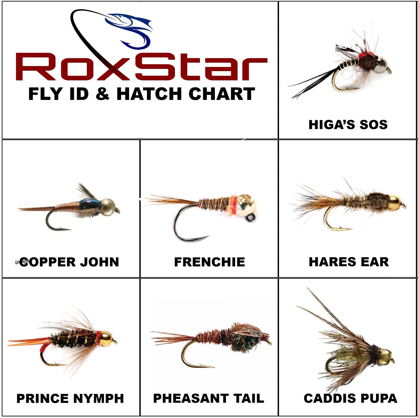 RoxStar Fly Shop Nymph Fly Hatch Pack | 14 Premium Flies + 1 Year Membership to Trout Unlimited & RoxStar Club | Proven Fishing Flies for Trout | Tied in House - Never Outsourced