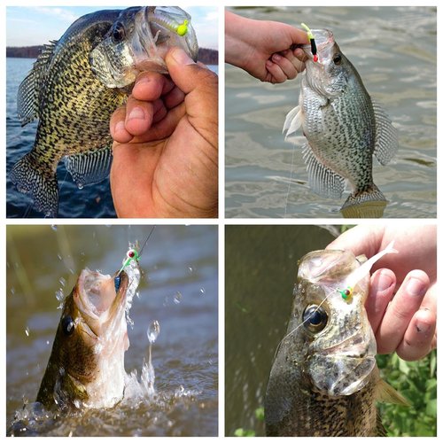 Crappie Jig Heads Kit, 75 Pieces Fishing Jig Head Hooks for Fishing Crappie Bass Trout Walleye 1/8oz 1/16oz 1/32oz