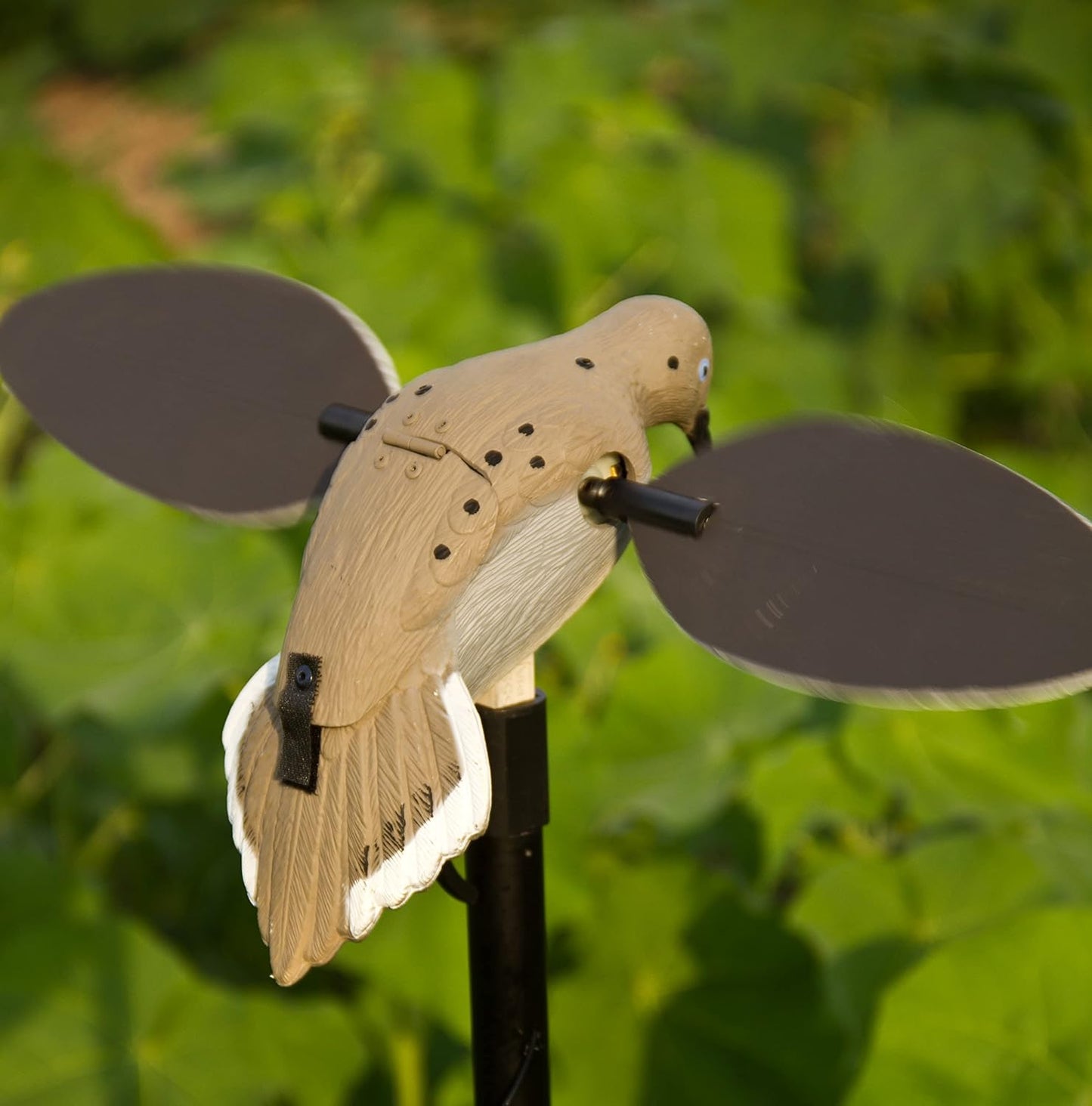 MOJO Outdoors Dove Hunting Decoys and Accessories – (Choose Style)