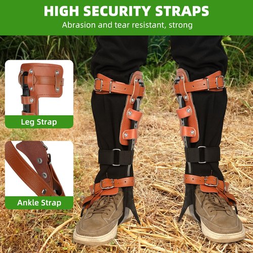 Xeoca Tree Climbing Spikes Set Tree Climbing Gear 1 Pair Alloy Steel Climbing Spurs 350lbs Load Capacity Arborist Equipment for Climbers, Fruit Picking and Lumberjack