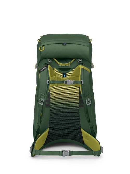 Osprey Ace 38L Kids' Backpacking Backpack, Green Canopy