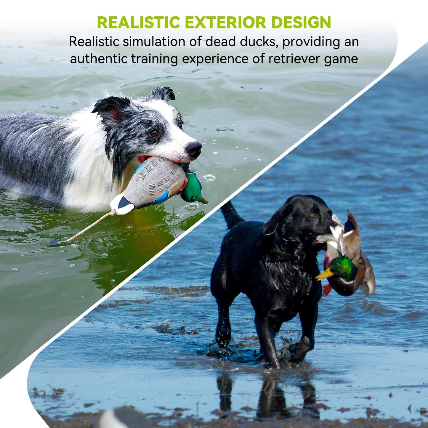 GearOZ Duck/Pheasant Dummy, Mimics Dead Duck/Pheasant Bumper for Gun Dog Training Scent Waterfowl Hunting Retriever, Outdoor Mallard Retrieval Interactive Train Toys, Floating & Durable