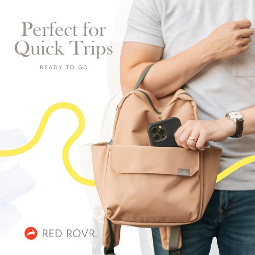 RED ROVR Mini Roo Lightweight Backpack | 6 pockets for everyday essentials (Sage)
