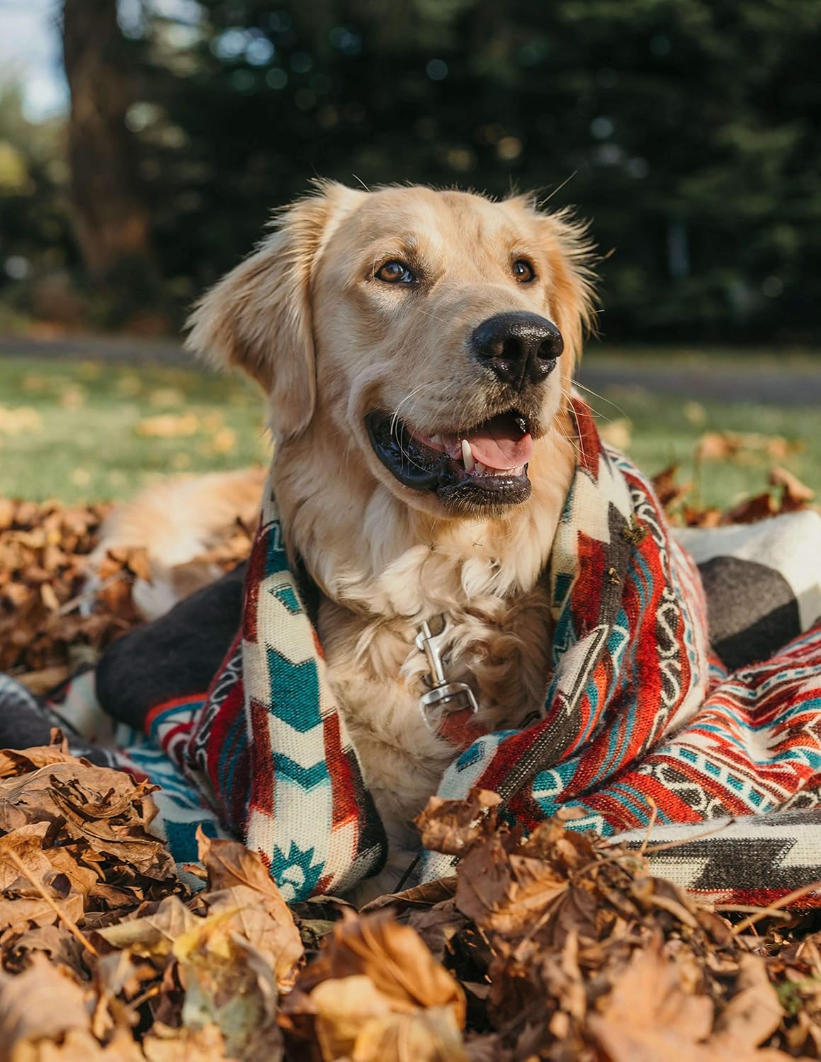 Inca Aztec Throw, Queen, King Blanket | Southwest Indian Navajo Boho Style | Native Cover for Camping, Bedding, Couch, Vanlife | Faux Alpaca, Lightweight, Hypoallergenic (Obsidian Black, Throw)