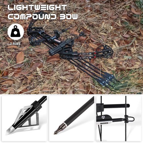 MOTION ZEUS Archery Eagle Compound Bow and Archery Sets 0-70lbs for Adults and Teens,25"-31" Draw Length，up to IBO 320 fps，Lightweight Design Bow Adjustable 2024 New