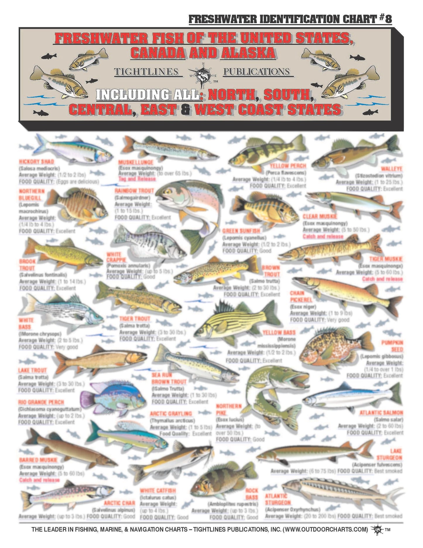 Fishermen's Freshwater Fish Identification Set - Waterproof Quick Reference Guide | Portable & Built to Last | Double-Sided & Easy to Read