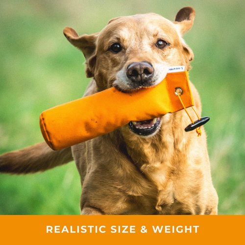 Dog Training Dummy - 1/2lb Canvas Bumper for Hunting Dogs & Puppies