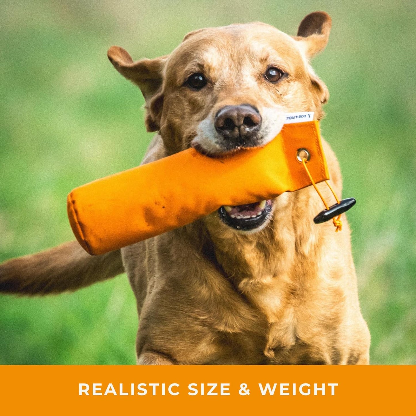 Dog & Field 1lb Dog Training Dummy - Canvas Dummy for Hunting Dogs & Puppy Training. Dog Retriever Training Dummy, Dog Training Bumper, Hunting Dog Accessories, Water Float Dummy