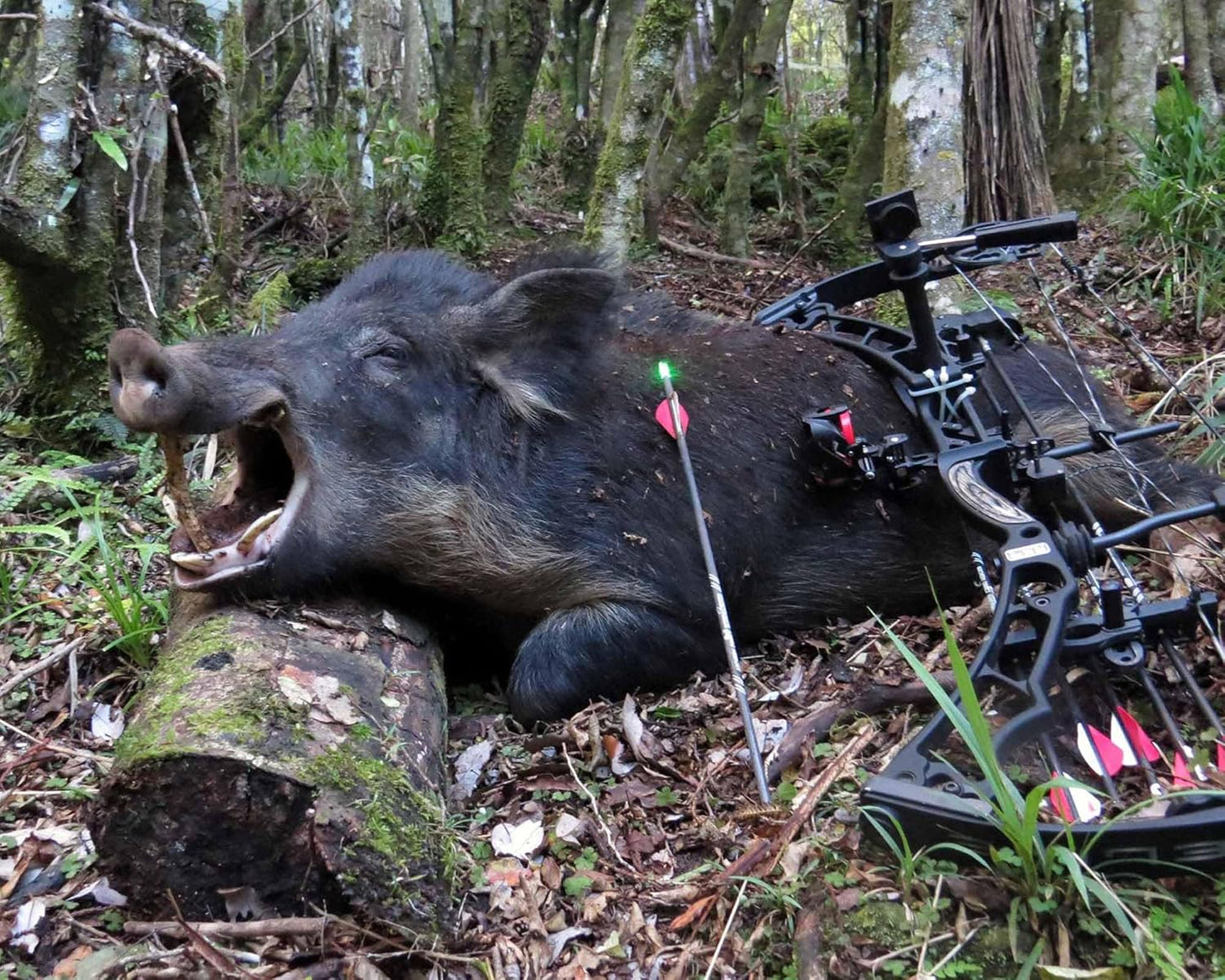 9PCS S Lighted Nocks for Arrows with .244 Inside Diameter Automatic Compound Bow Arrow Nocks for Hunting Shooting