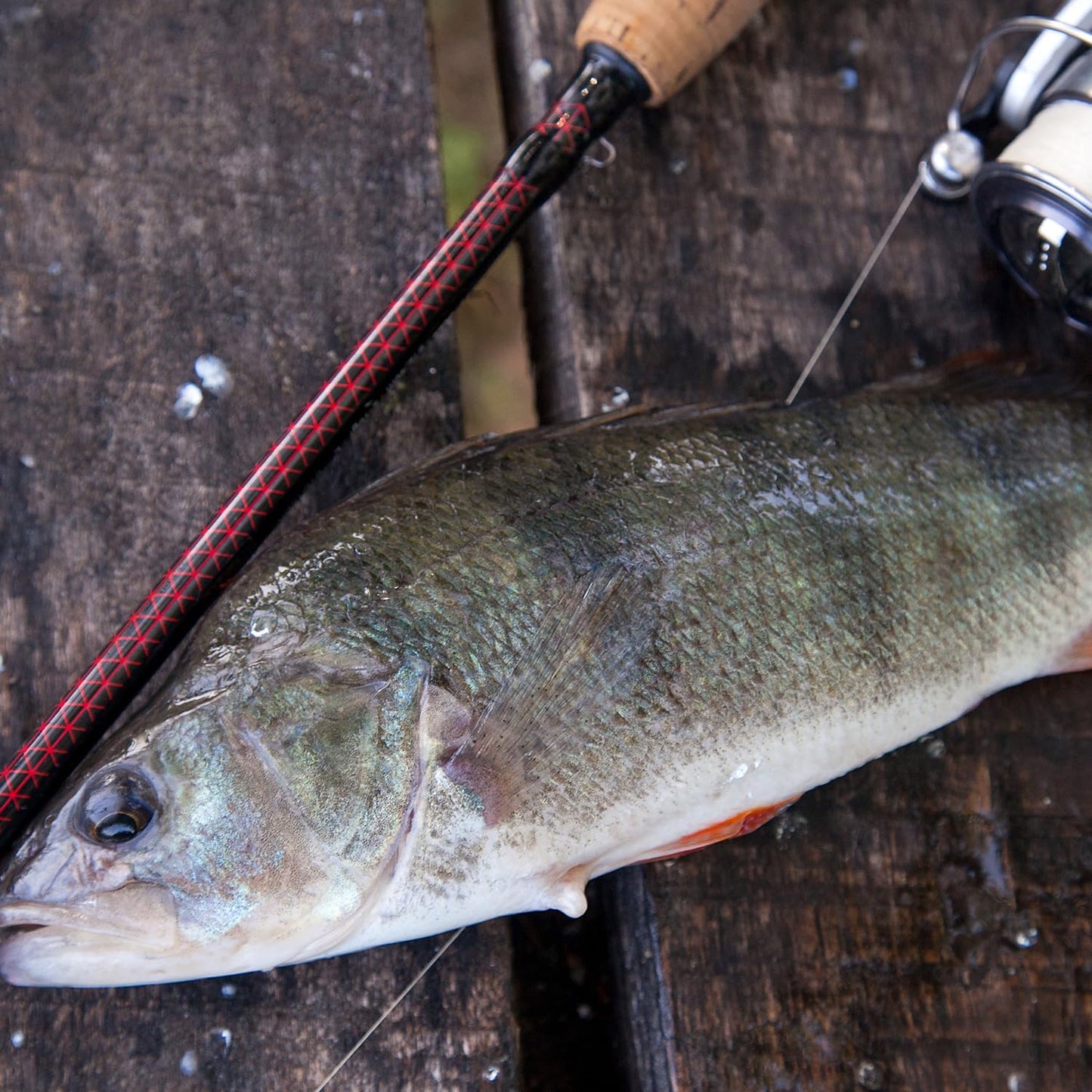 Aruicheng 480 Yards Clear Fishing Line Braided Fishing Wire Abrasion Fish String Fish Line Fish Wire Nylon String for Hanging Christmas Decoration Balloon Garland Crafts