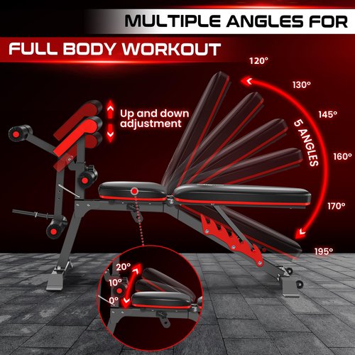 BODYRHYTHM Multifunctional Adjustable Weighted Bench with Leg Extension and Preacher Pad, Ab/Back Hyper Roman Chair, Adjustable Ab Sit up Bench, Flat Incline Decline Bench, Hyperextension Bench, Back