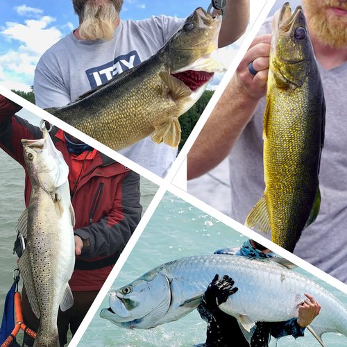 VATEICO 20PCS Fishing Leader Line,150LB High Strength Saltwater Fishing Stainless Steel Leaders with Swivel Snaps Connect Tackle Lure Rig and Hooks 19.7inch Green