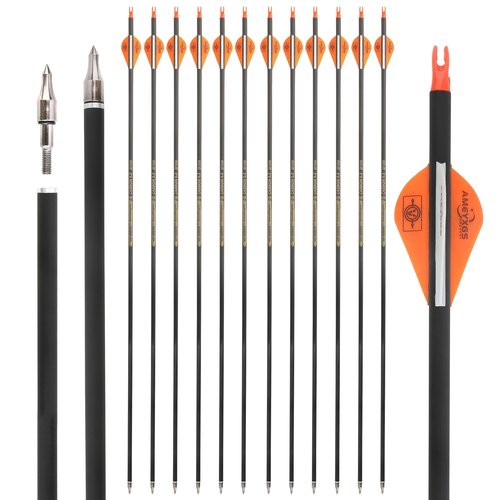 wolfman 31" Pure Carbon Arrows Archery Practice Hunting Arrows Spine 300 350 400 500 600 with Removable Tips Targeting Arrows for Compound & Recurve & Long Bow 6/12pcs (12, Orange, Spine 300)