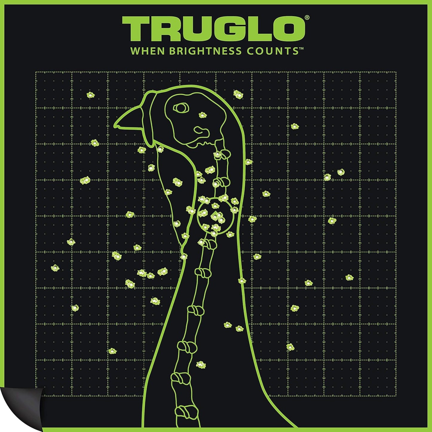 TRUGLO Bright Thru-See Splatter Florescent Self-Adhesive High-Visible Turkey Hunting Targets 12X12 with Increased Target Life, Available in 6-12-Pack Options