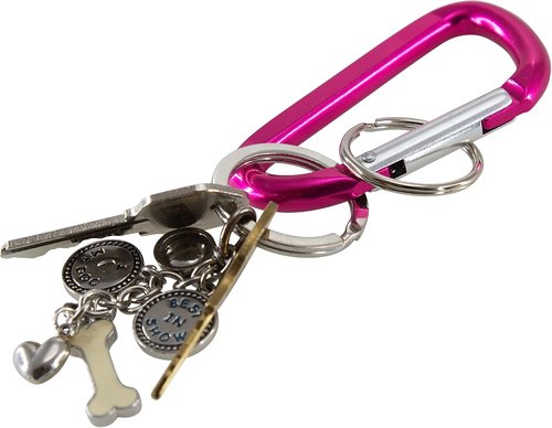Baumgartens Key Ring, Large, Assorted