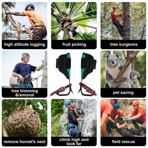 tonchean Tree Climbing Spikes Professional, Tree Climbing Gear Set with Adjustable Cowhide Straps & Soft Padding, Arborist Equipment Climbing Spurs for Logging, Hunting, Fruit Picking, Tree Trimming