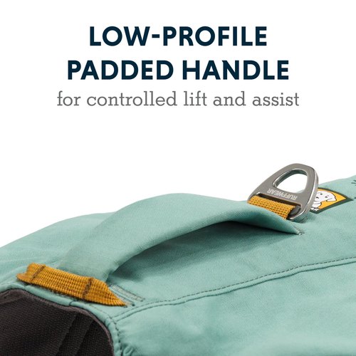 Ruffwear, Front Range Dog Day Pack, Backpack with Handle for Hikes & Day Trips, River Rock Green, Large/X-Large