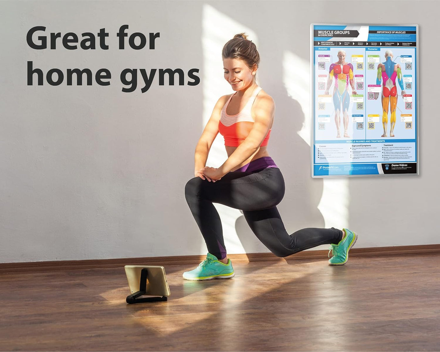 EXTRA LARGE Muscle Groups Workout Poster 33" x 23.5" - Laminated Gym & Home Fitness Chart with Video Support